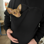 Small dog peeking out from a black pouch worn by a person indoors.