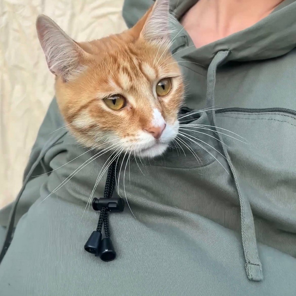 An orange tabby cat with yellow eyes resting its head on a person's chest wearing an olive green hoodie. The cat's face and whiskers are clearly visible against the green fabric.